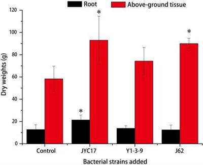 Effects of Plant Growth-Promoting Bacteria (PGPB) Inoculation on the Growth, Antioxidant Activity, Cu Uptake, and Bacterial Community Structure of Rape (Brassica napus L.) Grown in Cu-Contaminated Agricultural Soil